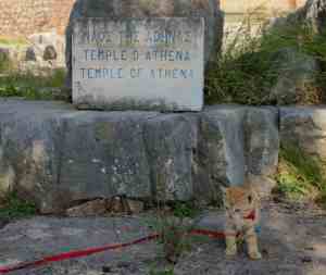 Delfi - Erwin am Tempel von Athene