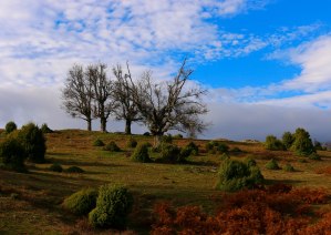 Alexandroupolis - Winterstimmung
